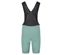 Bioracer Icon Seasonal Bib Shorts Green S Men S Evergreen