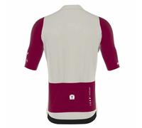 Bioracer Icon Short Sleeve Jersey Grey 134-146 cm Kids 134-146 cm Warm Grey / Bordeaux