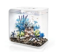 biOrb 72034 FLOW 30 LED, white, 30 L tank volume - rectangular acrylic design aquarium, set with filter system, LED lighting, bottom gravel, air diffuser
