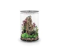 biOrb 72066 TUBE 30 LED black - 30 litre 360-degree decorative aquarium complete set made of acrylic glass with LED lighting, filter system and ceramic base