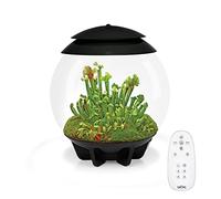 biOrb Air 30 Terrarium (Black, 30 Litres), Perfect Beginner Terrarium With Integrated LED Lights To Encourage Natural Growth, Quick & Easy To Set Up, Fully Automated With 360-Degree View, Acrylic