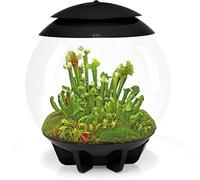 biOrb Air 30 Terrarium (Black, 30 Litres), Perfect Beginner Terrarium With Integrated LED Lights To Encourage Natural Growth, Quick & Easy To Set Up, Fully Automated With 360-Degree View, Acrylic