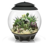 biOrb Air 30 Terrarium (Grey, 30 Litres), Perfect Beginner Terrarium With Integrated LED Lights To Encourage Natural Growth, Quick & Easy To Set Up, Fully Automated With 360-Degree View, Acrylic