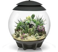 biOrb Air 30 Terrarium, Perfect Beginner Terrarium, 30 Litres (Grey)