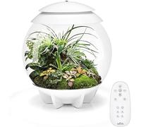 biOrb Terrarium Air 30 - 30L Acrylic, Integrated LED, White, Automated 360° View