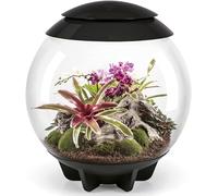 biOrb AIR 60 Terrarium, Automated 360-Degree Tropical Plant Eco-System