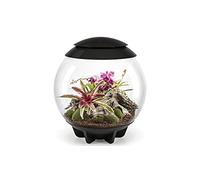 biOrb AIR 60 Terrarium, Fully Automated 360-Degree Tropical Plant Eco-System, Replicates Natural Daylight, Air Movement & Humidity, Easy Setup, Includes Coir Compost, Misting Module & LED Lighting