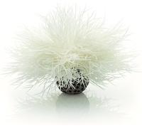 biOrb Aquarium Sea Lily White