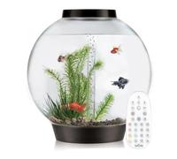 biOrb Classic 105L Aquarium in Black with MCR LED Lighting