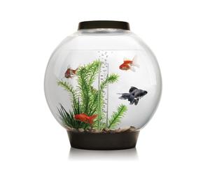 biOrb Classic 30L Aquarium in Black with MCR LED Lighting and Heater Pack