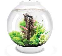 CLASSIC 30 Aquarium with Multi Colour LED light - remote control