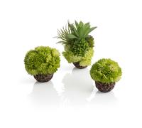 biOrb Fish Tank Decorations, Aquatic Coral Ball (3 x Green Aquarium Plants), Artificial Fish Tank Plants To Add Colour & Interest, Beautiful & Natural-Looking Aquarium Decor For Scenic Background