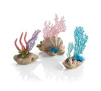 biOrb Coral Fan & Shell Set