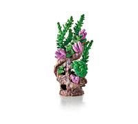 Oase Biorb Coral Reef Ornament, Green
