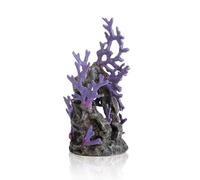 Sam Baker Ornamental Reef Purple Medium