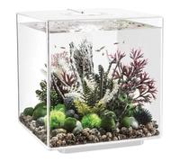 biOrb CUBE 30 Aquarium with Multi Colour LED light - remote control - white