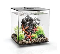 biOrb CUBE Aquarium 30L MCR Black