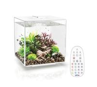 biOrb CUBE Aquarium 30L White with MCR LED Lighting