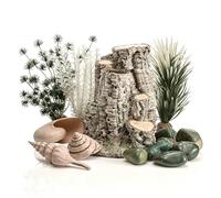 biOrb Decor Set, Forest Rhythm - Silver Birch Sculpture, Plant & Sea Shell Ornaments for 30 L+ Aquariums, Easy-Insert Decoration Compatible with Fresh & Saltwater Tanks, Perfect Fish Tank Decorations