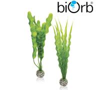 BiOrb Easy Plant Set Green Medium Pk of 2 46056