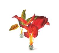 BiOrb Silk Plant Set Green & Red Large Pk of 2 46102