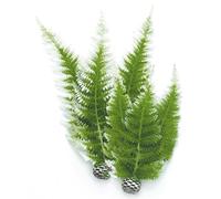 BiOrb Winter Fern Set Pk of 2 46066