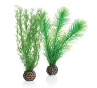 BiOrb Feather Fern Set Green Small Pk of 2 46083