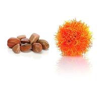 biOrb Feng Shui Marble Pebble Pack, Red & Colour Ball, Orange