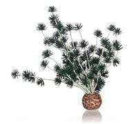 biOrb Fish Tank Decorations, Aquatic Bonsai Ball Plant (Black) With Weighted Ball,1 x Aquarium Plant, Fish Tank Plants To Add Colour, Natural-Looking Aquarium Decor For Scenic Background