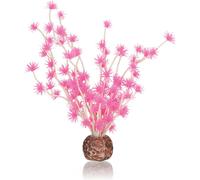 biOrb Fish Tank Decorations, Aquatic Bonsai Ball Plant Plant (Pink) With Weight