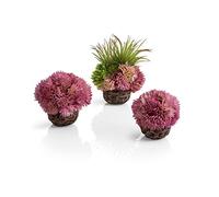 biOrb Fish Tank Decorations, Aquatic Coral Ball (3 x Purple Aquarium Plants), Artificial Fish Tank Plants To Add Colour & Interest, Beautiful & Natural-Looking Aquarium Decor For Scenic Background