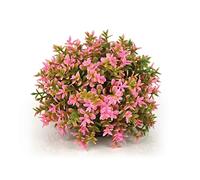 biOrb Fish Tank Decorations, Aquatic Flower Ball With Weighted Ball (1 x Pink Aquarium Plant), Beautiful Artificial Fish Tank Plant To Add Colour, Natural-Looking Aquarium Decor For Scenic Background