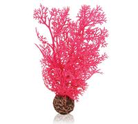 biOrb Fish Tank Decorations, Aquatic Horn Coral Plant With Weighted Ball (1 x Pink Aquarium Plant), Artificial Fish Tank Plants To Add Colour, Natural-Looking Aquarium Decor For Scenic Background
