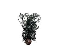 biOrb Fish Tank Decorations, Aquatic Horn Coral Plant With Weighted Ball (Small Black Aquarium Plant), Artificial Fish Tank Plants To Add Colour, Natural-Looking Aquarium Decor For Scenic Background