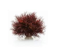 BiOrb Aquatic Sea Lily Crimson 46077