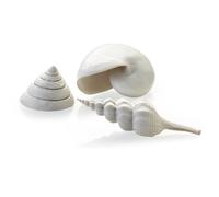 biOrb Fish Tank Decorations, Ceramic Sea Shells (Set of 3 Aquarium Ornaments, White), Artificial Fish Tank Accessories To Add Colour, Detailed Natural-Looking Aquarium Decor For Scenic Background