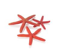 biOrb Fish Tank Decorations, Ceramic Starfish Aquarium Ornament (Red Colour), Beautifully Detailed Artificial Fish Tank Accessories To Add Colour, Natural-Looking Aquarium Decor For Scenic Background