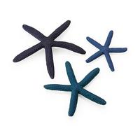 biOrb Fish Tank Decorations, Ceramic Starfish (Set of 3 Aquarium Ornaments, Blue Colour), Artificial Fish Tank Accessories To Add Colour Accent, Natural-Looking Aquarium Decor For Scenic Background