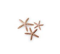 biOrb Fish Tank Decorations, Ceramic Starfish (Set of 3 Aquarium Ornaments, Natural Colour), Artificial Fish Tank Accessories To Add Colour Accent, Natural-Looking Aquarium Decor For Scenic Background