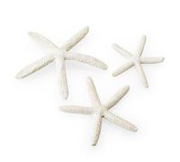 biOrb Fish Tank Decorations, Ceramic Starfish (Set of 3 Aquarium Ornaments, White Colour), Artificial Fish Tank Accessories To Add Colour Accent, Natural-Looking Aquarium Decor For Scenic Background