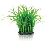 biOrb Fish Tank Decorations, Grass Ring Plant (1 x Medium Green Aquarium Plant)