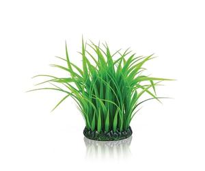 biOrb Fish Tank Decorations, Grass Ring Plant (1 x Medium Green Aquarium Plant), Fish Tank Plants To Add Colour, Perfect For Around Air Column, Natural-Looking Aquarium Decor For Scenic Background