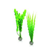 biOrb Fish Tank Decorations, Green Plant Set With Weighted Balls (Set of Two Aquarium Plants), Artificial Fish Tank Plants To Add A Pop Of Colour, Natural-Looking Aquarium Decor For Scenic Background