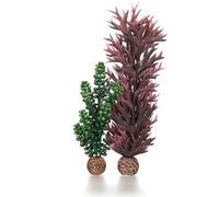 biOrb Fish Tank Decorations, Sea Pearls & Seaweed Plant (Olive Green & Purple Aquarium Plants), Artificial Fish Tank Plants To Add Colour, Natural-Looking Aquarium Decor For Scenic Background