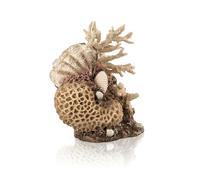 biOrb Fish Tank Decorations, Sea Shell Aquarium Ornament (Natural Colour), Beautifully Detailed Artificial Fish Tank Accessories To Add Colour, Natural-Looking Aquarium Decor For Scenic Background