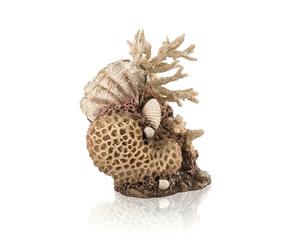 biOrb Fish Tank Decorations, Sea Shell Aquarium Ornament (Natural Colour), Beautifully Detailed Artificial Fish Tank Accessories To Add Colour, Natural-Looking Aquarium Decor For Scenic Background