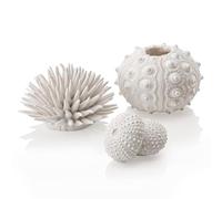 biOrb Fish Tank Decorations, Sea Urchin Aquarium Ornament Set (3 x White), Beautiful Detailed Artificial Fish Tank Accessories To Add Colour, Natural-Looking Aquarium Decor For Scenic Background