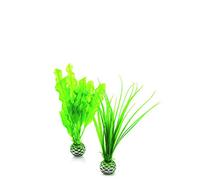 biOrb Plant Set S green
