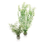 biOrb Fish Tank Decorations, Winter Flowers (Green) With Weighted Balls, 2 x Aquarium Plants (Medium), Artificial Fish Tank Plants To Add Colour, Natural-Looking Aquarium Decor For A Scenic Background