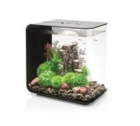 biOrb Flow 30 Acrylic Aquarium, Black, MCR Multi-Colour Remote LED Lighting, Stylish 30 Litre Fish Tank with 5-Step Filtration, Easy Setup, Includes Remote, Air Pump, Filter Cartridge, Ceramic Media